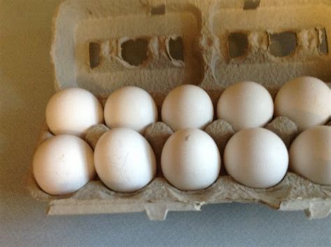 Freezing Eggs • AnswerLine • Iowa State University Extension and Outreach