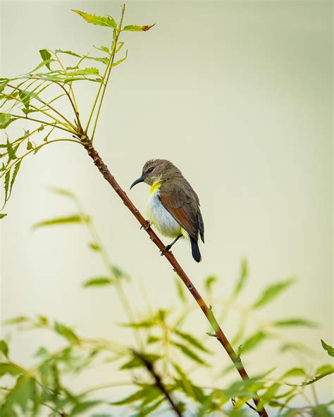 Thick+Lesbian Photos, Download The BEST Free Thick+Lesbian Stock Photos