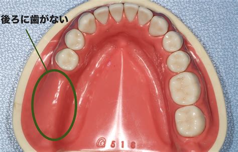 dentalhacker