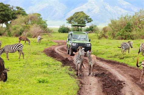 Ngorongoro National Park