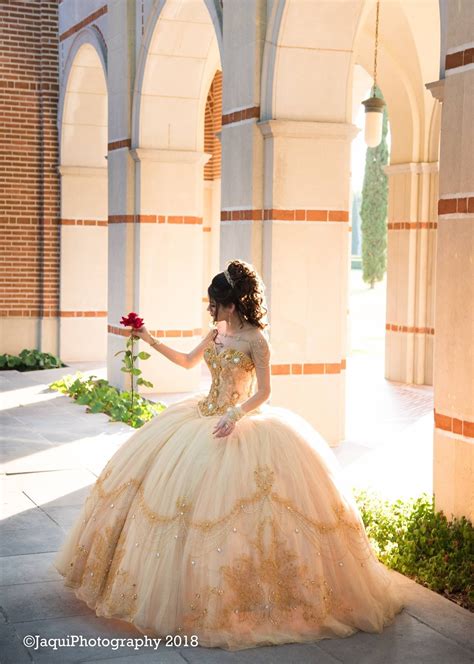 Pin by Brenda Pena on Quincenera ideas | Quinceanera themes dresses