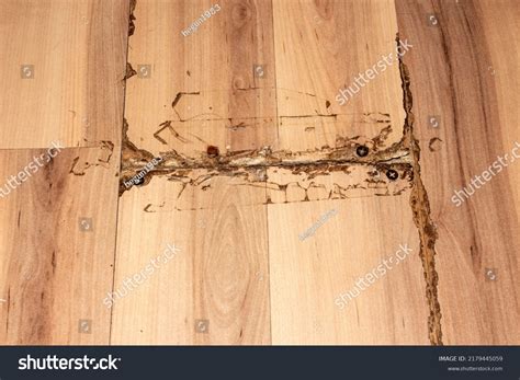 2,412 Worn Laminate Images, Stock Photos & Vectors | Shutterstock