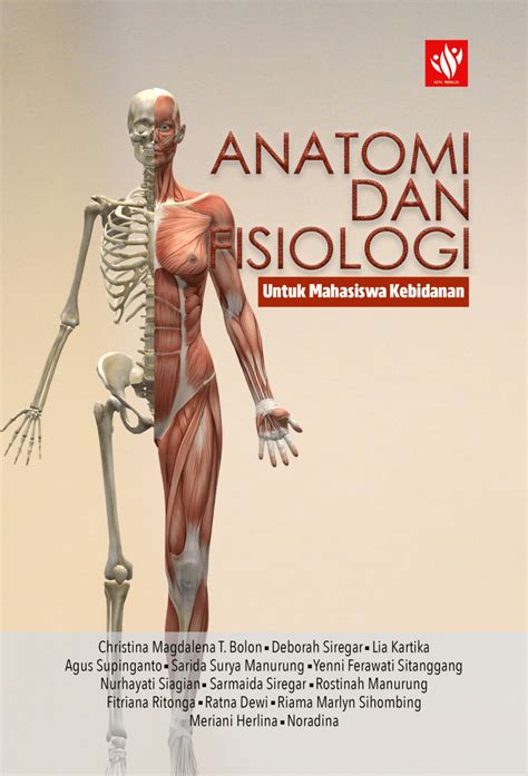 anatomi  fisiologi