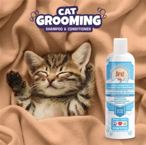 5 Best Cat Shampoo for Dandruff - Reademall