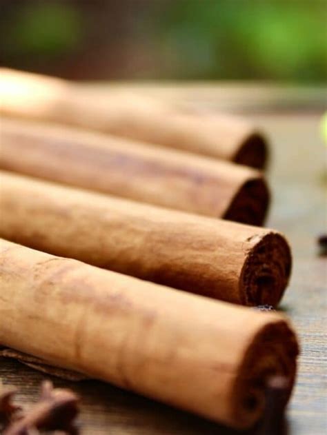 health benefits  chewing cinnamon sticks  rosa gray blog