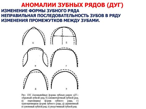 Общая анатомия зубов. Развитие и возрастные особенности строения ...