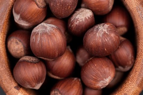 argan origin   benefits