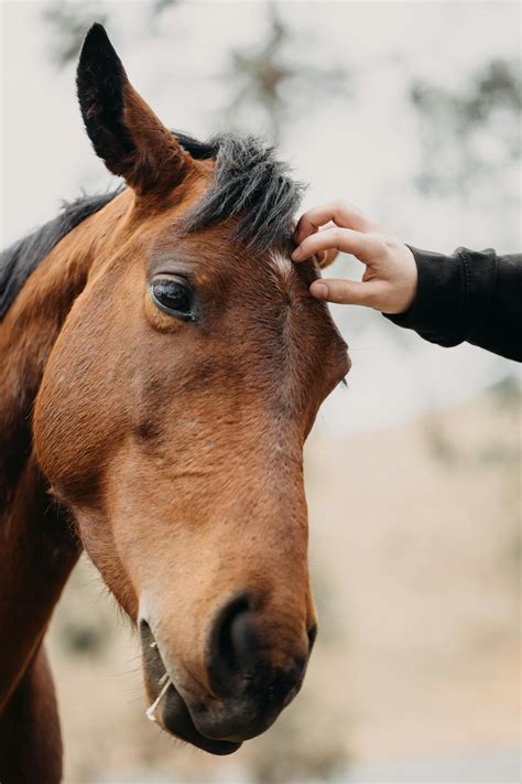 Tied+Up+In+High+Heels Photos, Download The BEST Free Tied+Up+In+High