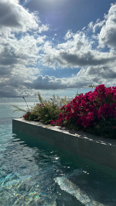 Annabelle Gesson | guess who’s back baby😉 | Instagram