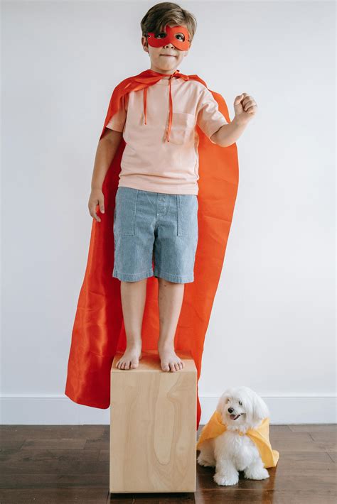 Dogs In Superhero Costumes Photos, Download The BEST Free Dogs In