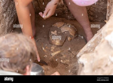 hands   anthropologist revealing human remains   sand stock