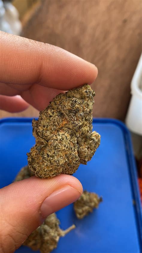 PGR weed? : r/weedporn