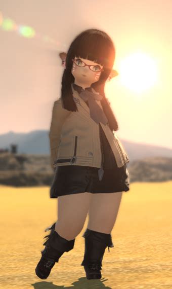 The Explorer | Eorzea Collection