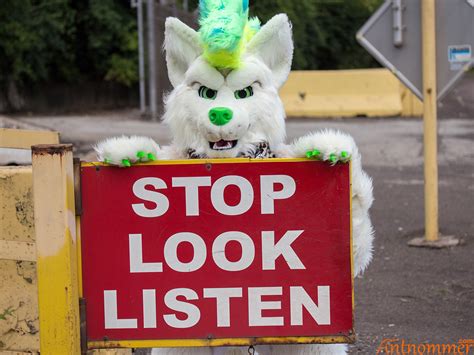 Just Anteater Things: Anthrocon 2017 Fursuit Photo Commissions Are Open!
