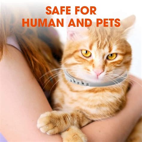 Cat Flea Collar Review | Happy Pet Place: Ultimate Guide For Pet Health ...