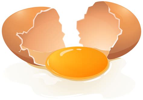 Egg Transparent Background