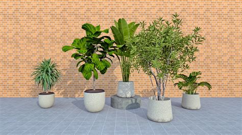 big house plants sketchup  model skp file  sketchupbox
