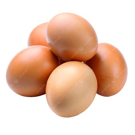 gambar telur ayam  diasingkan  latar belakang telus ayam