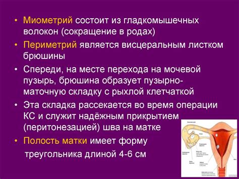 Репродуктивная система женщины. Менструальный цикл - презентация онлайн