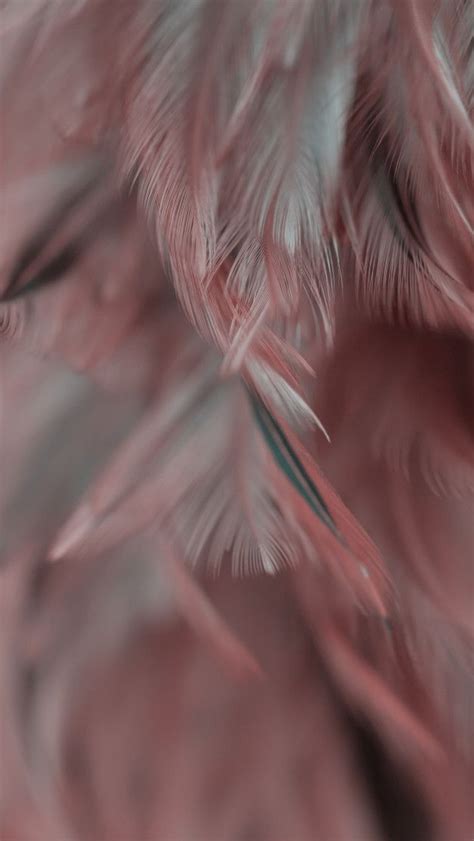 Pin by Yulia ᥫ᭡ on Белые текстуры | Iphone wallpaper stills, Iphone ...