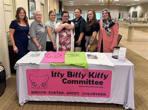 Itty Bitty Kitty Committee... - Itty Bitty Kitty Committee