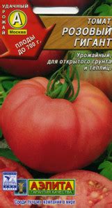 Томат Розовый гигант: описание, выращивание, отзывы, фото и характеристика