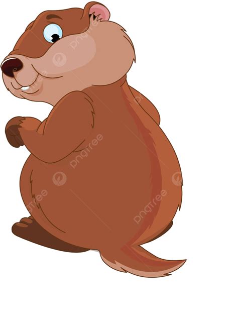 is marmot wild animal 5