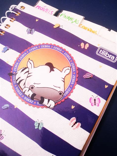 Virei Dona de Casa!: Finanças pessoais: economia para iniciantes