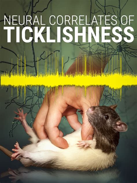 ArtStation - Neural correlates of ticklishness