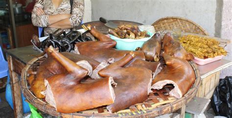 countries eat dogs cats  dinner