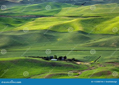 Aerial View of Palouse Landscape from Steptoe Butte Stock Photo - Image ...