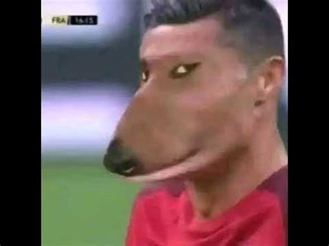 penaldog youtube