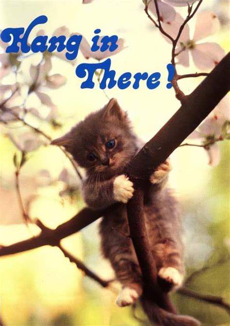 Hang In There Cat Poster 80S - SCATREY