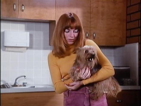Emergency! (1972)