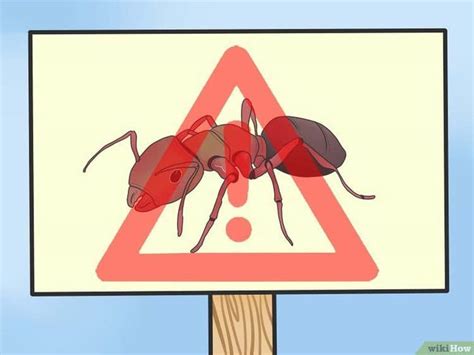 GLH Pest Control LLC | East Windsor CT