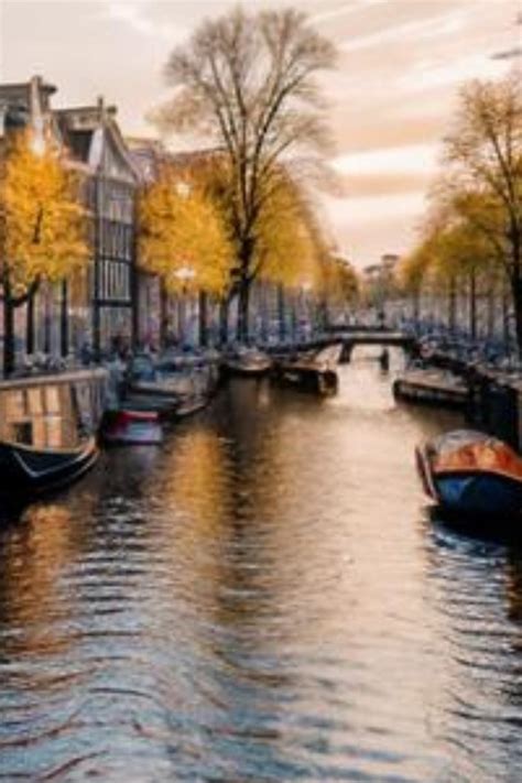 Amsterdam: 3 Hour See and Taste Tour of Historical Centre | Power Traveller