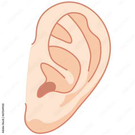 stock illustration adobe stock