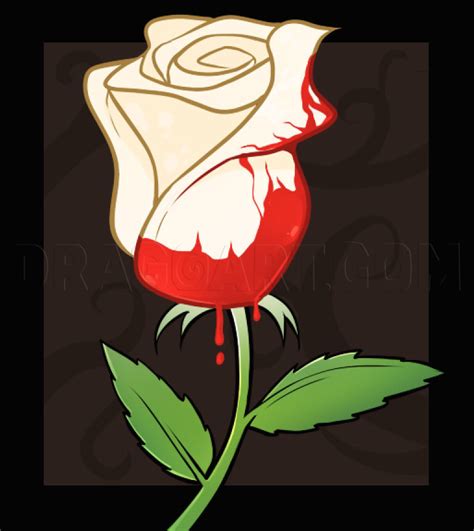 how to draw a white rose