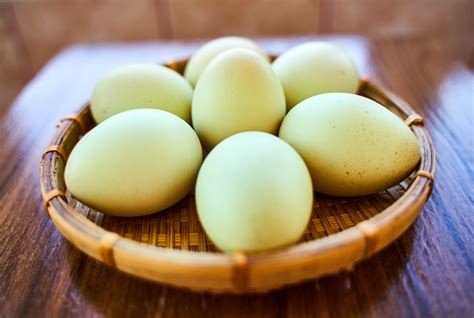 What Chickens Lay Green Eggs? 4 Breeds to Consider - Hobby Farms