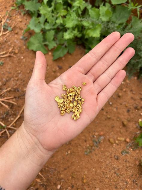 1 ounce Gold Parcel – The Prospectors Club