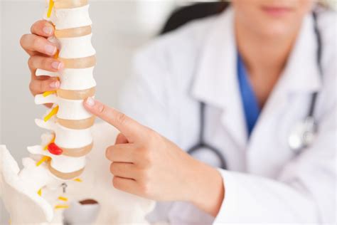 espina spanish  english translation spanishdictionarycom