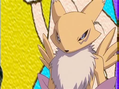 digimon tamers renamon   giuseppedirosso  deviantart