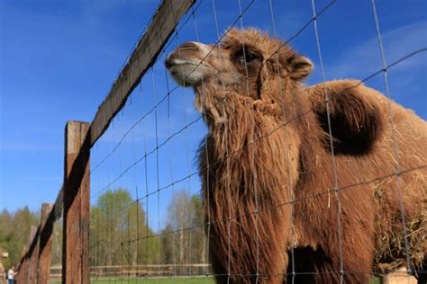 Ecopark Bilder – Durchsuchen 850 Archivfotos, Vektorgrafiken und Videos ...