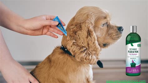 flea  tick shampoo  dogs vet tested safe picks  good shampoo