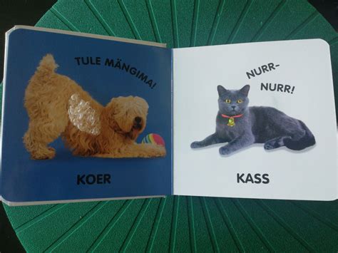 nurr nurr