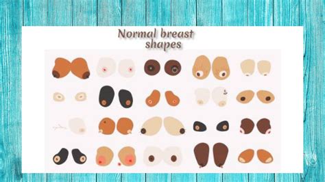 shape  chest normal  mark  blog