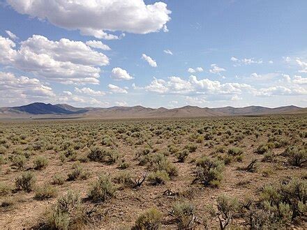 Steppe - Wikipedia