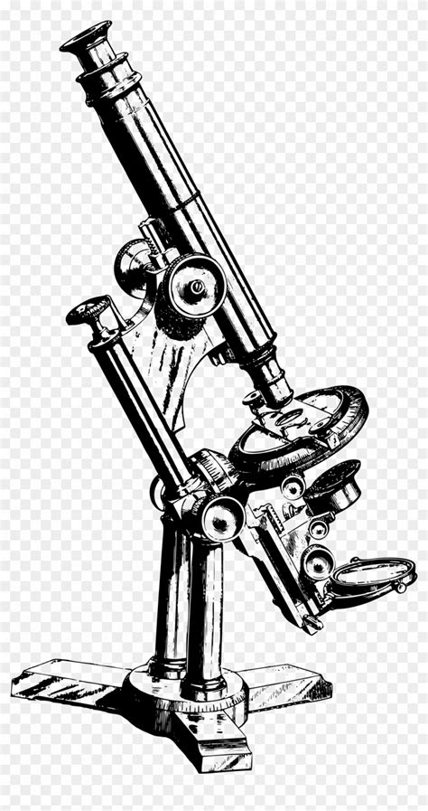 Vintage Microscope - Microscope Clipart, HD Png Download - 1299x2400 ...