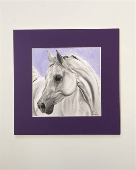 White Arabian Horse Art Print Horse Portrait Fine Art - Etsy