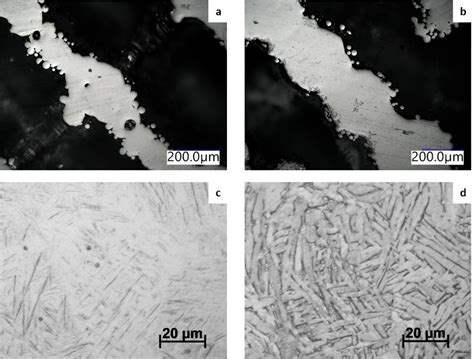 optical microscope pictures  transverse cross section   built